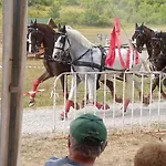 Panorama Felsoetarkany Appartamento Felsőtárkány