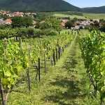Appartamento Panorama Felsoetarkany Felsőtárkány