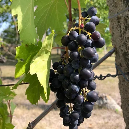 Panorama Felsoetarkany *