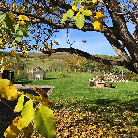 アパート Panorama Felsoetarkany