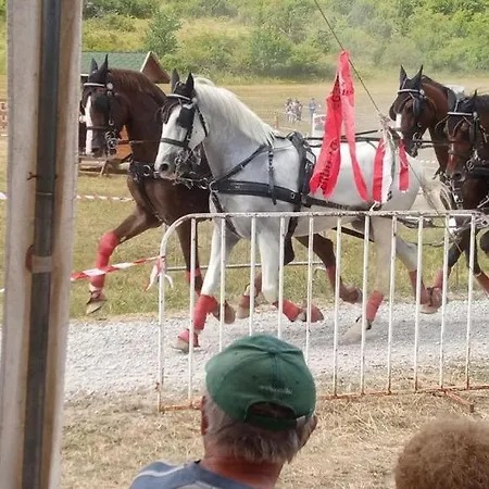 Panorama Felsoetarkany アパート Felsőtárkány