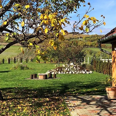 アパート Panorama Felsoetarkany Felsőtárkány