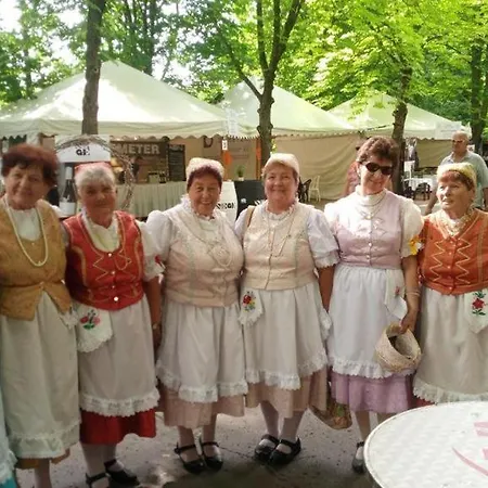 Panorama Felsoetarkany * Felsőtárkány