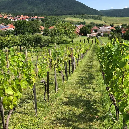 Apartament Panorama Felsoetarkany Felsőtárkány