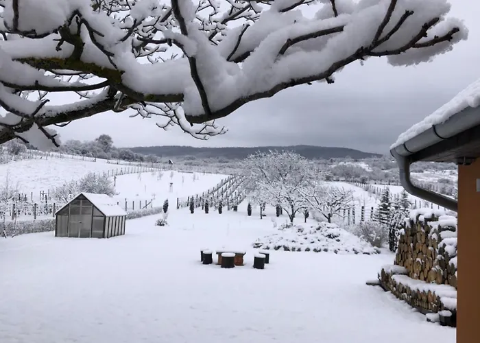 Διαμέρισμα Panorama Felsoetarkany