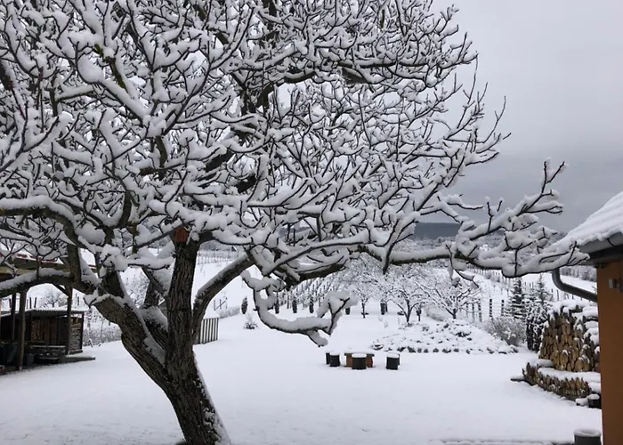 Panorama Felsoetarkany Διαμέρισμα *